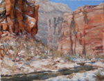 zion snow